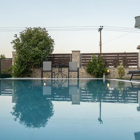 Olympus Echo Skotina