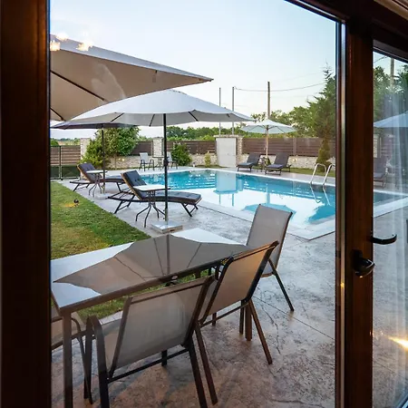 Olympus Echo فيلة *