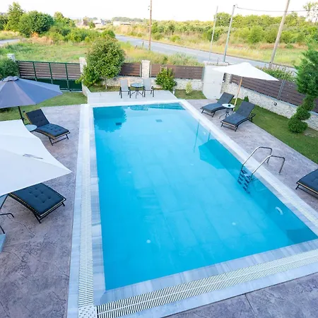 Olympus Echo Skotina