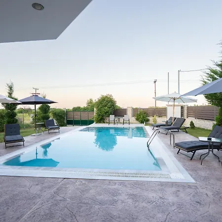 فيلة Olympus Echo