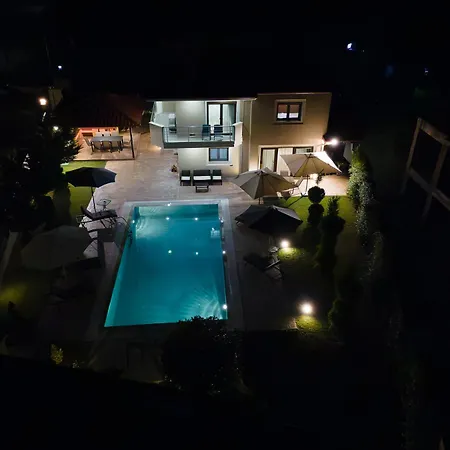 Olympus Echo * Skotina