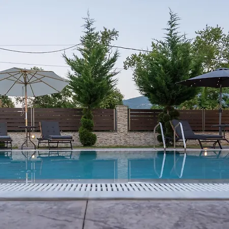 Olympus Echo Skotina