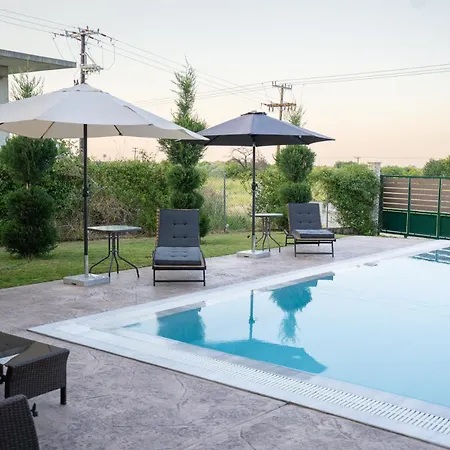 Olympus Echo فيلة سكوتينا