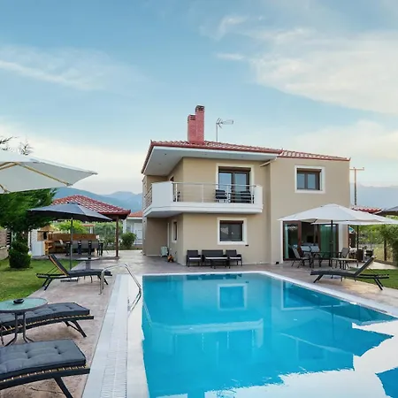 Olympus Echo سكوتينا