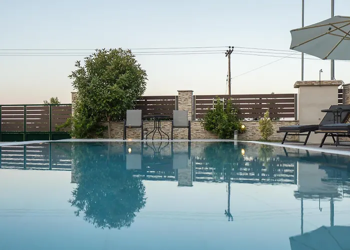 Olympus Echo Σκοτίνα