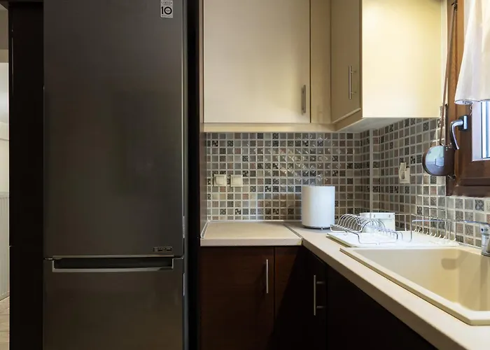 Βίλα Olympus Echo