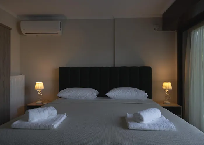 Βίλα Olympus Echo *