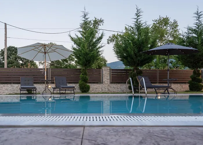 Olympus Echo Σκοτίνα